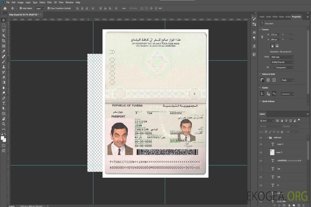 Passeport tunisien template